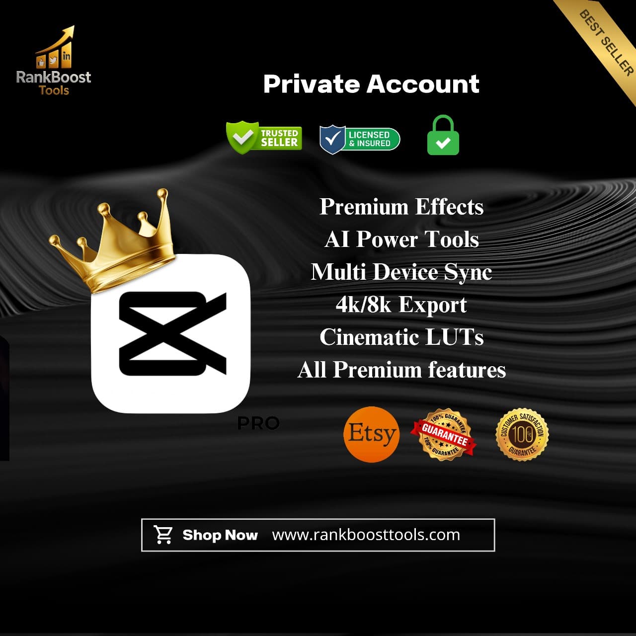 CapCut Pro Subscription Private Account – 1 Month | Official Subscription